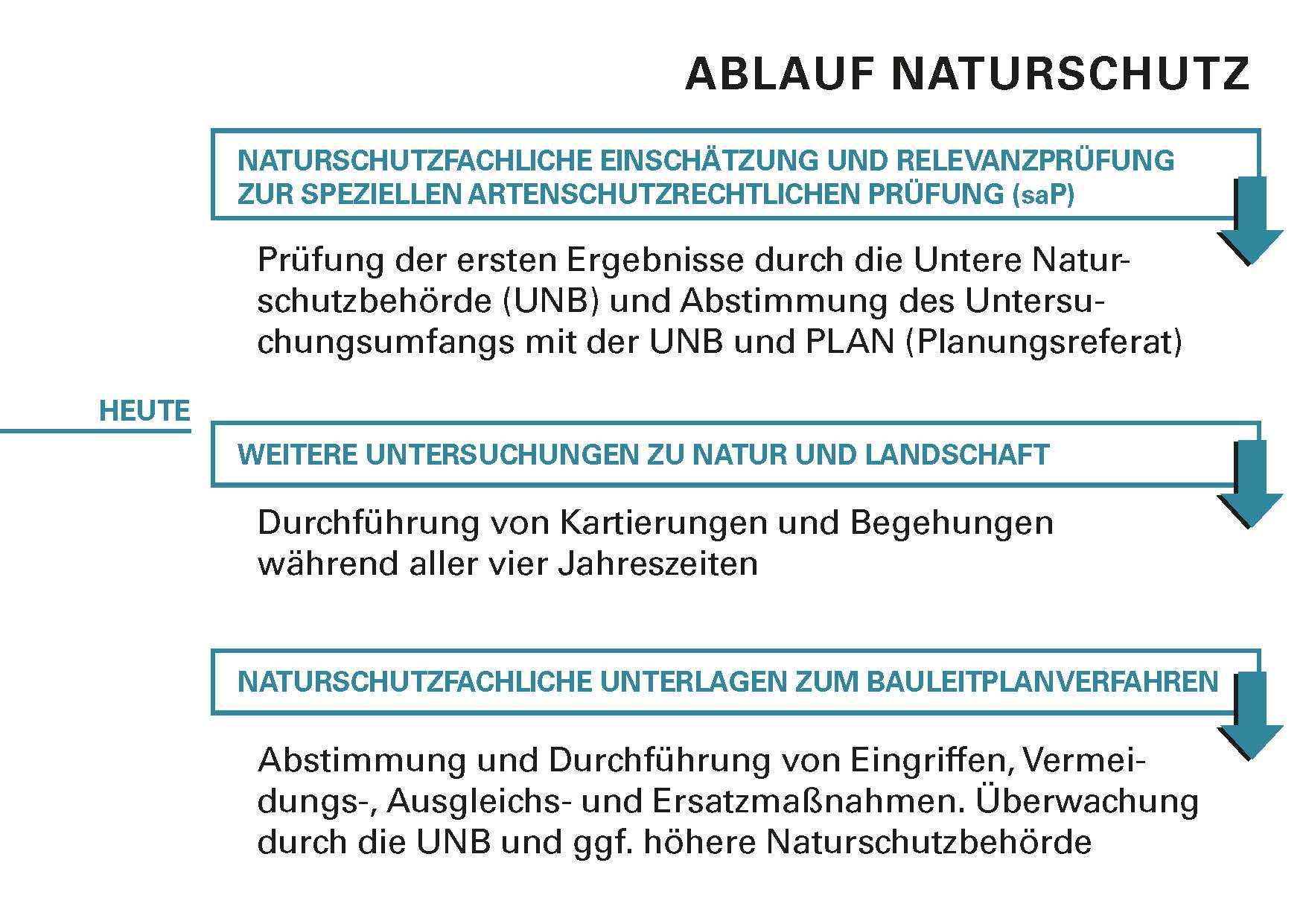 191009_LUD_Zwischenbericht_Natur_mgk_Seite_08