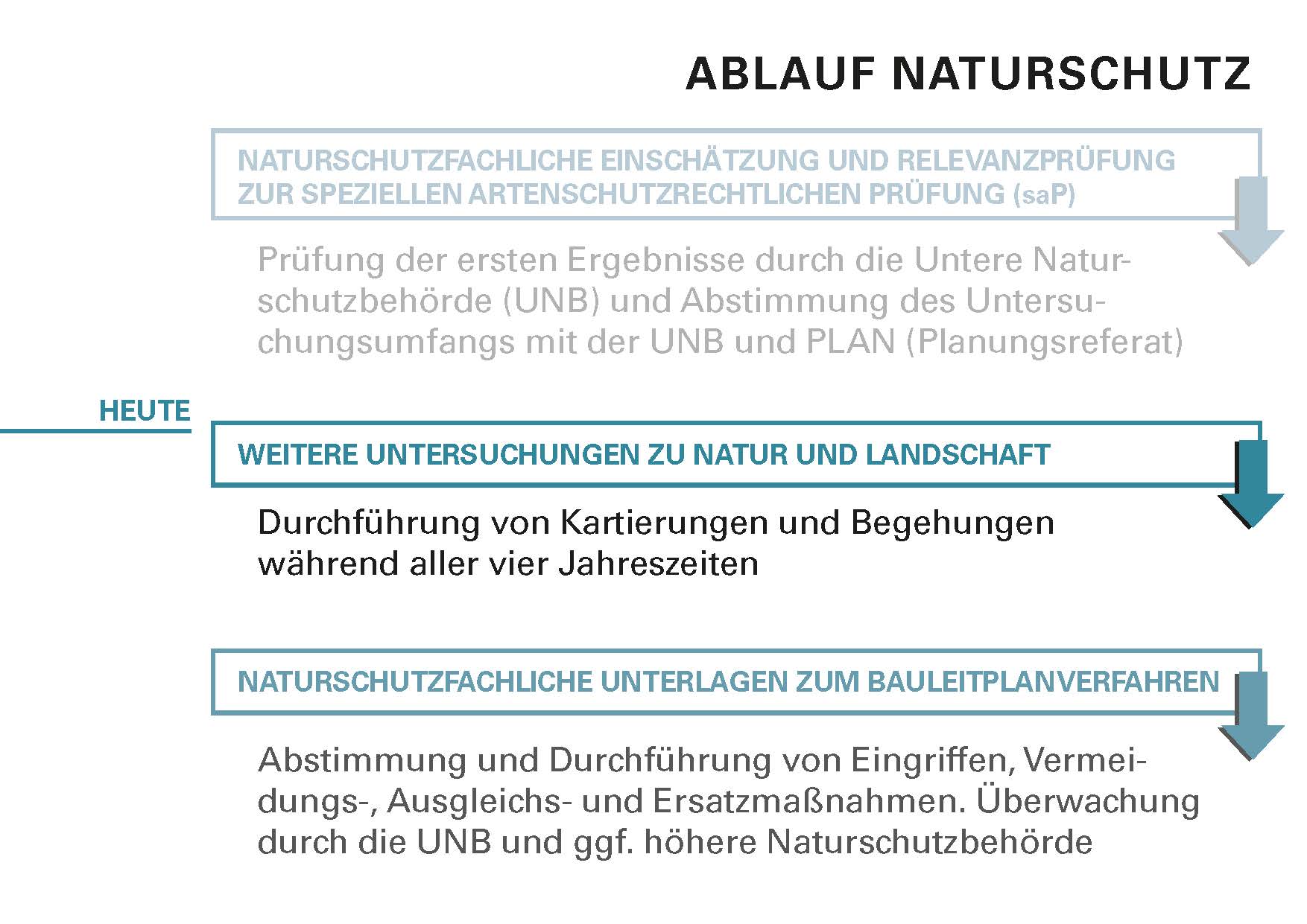 191009_LUD_Zwischenbericht_Natur_mgk_Seite_12